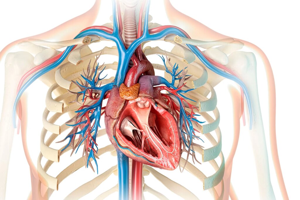 What does ejection fraction need to do with coronary heart failure?