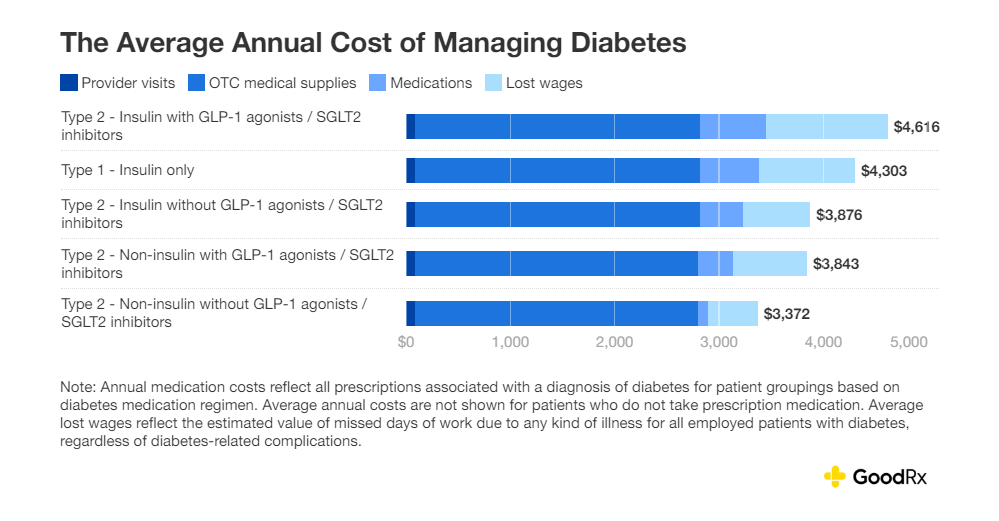 The excessive worth of residing with diabetes in 2024: an summary of the prices