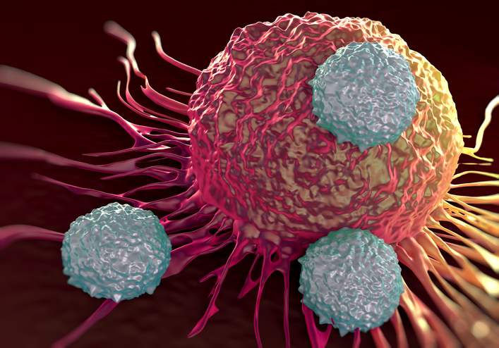 FDA Requires New Security Alert for Class of CAR T Most cancers Therapies