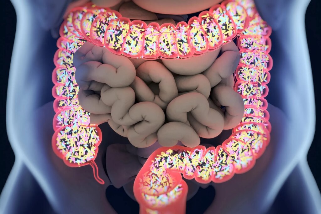 Specializing in intestine well being may help with weight reduction