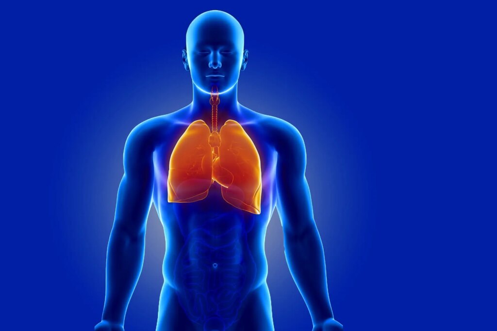 Lung detox: does it actually work?