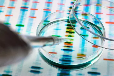 Misconceptions about genomic testing