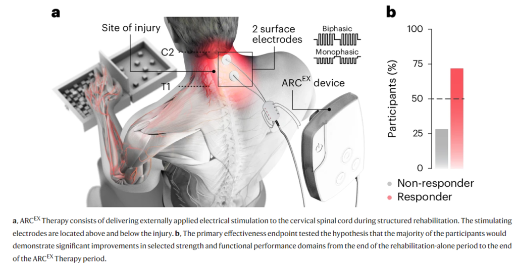 Serving to the Crippled Motion – ​​Healthcare Economist