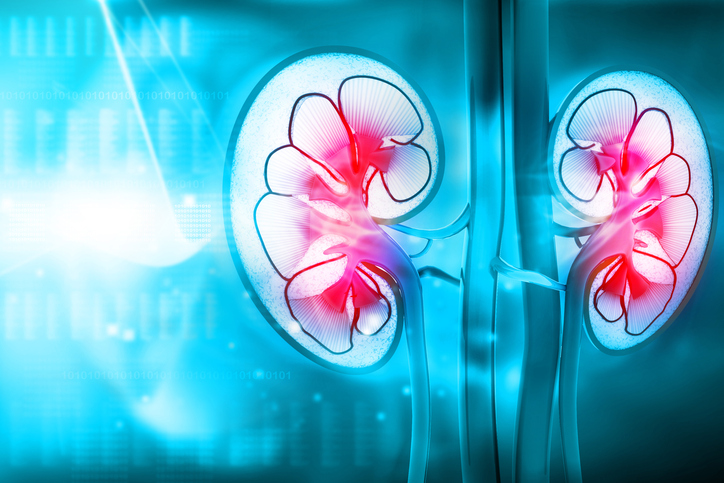 Disrupting Continual Kidney Illness Mortality Charges By means of Digital Well being Platforms