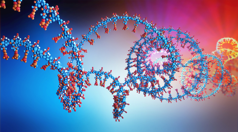 RNA Basis fashions to enhance productiveness in pharmaceutical analysis and improvement