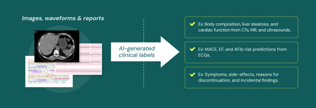 Dandelion Well being Launches Medical AI Market + GLP-1 Examine