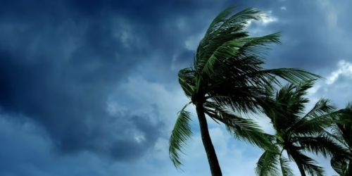 Florida Hospitals As soon as Once more Evacuating Sufferers Forward of Second Hurricane in Two Weeks – The Journal of Healthcare Contracting