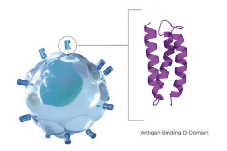 Security stands out in Arcellx Cell Remedy's ASH information, however don't neglect the manufacturing advantages