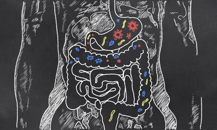 Mid-stage information from Teva and Sanofi reveals the perfect potential for IBD medication