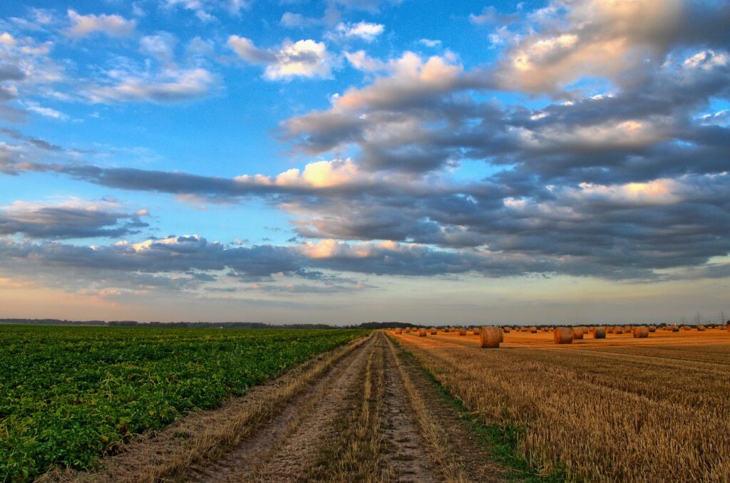 Bridging the hole: Addressing the distinctive challenges of accessing house care in rural areas