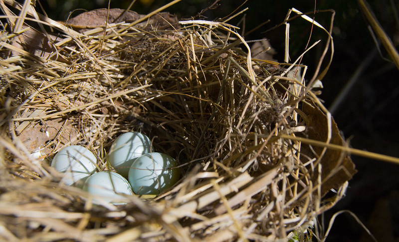 How a startup is that freezing eggs makes extra inexpensive and extra equal