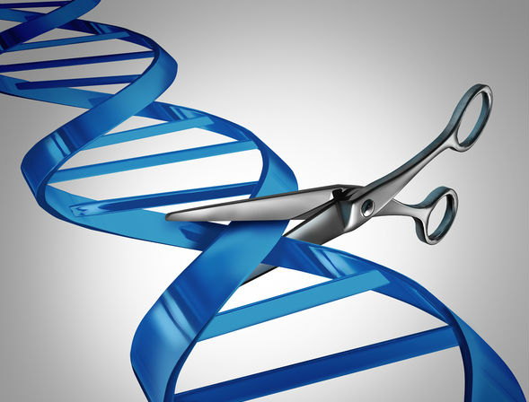 CRISPR BIOTECH Caribou Trims Pipeline and minimize 32% of the employees to focus on two most cancers cell therapies