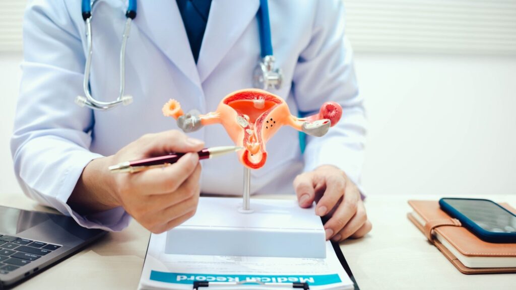 New HSE -Dometrioscentrum opens in Cork, Eire