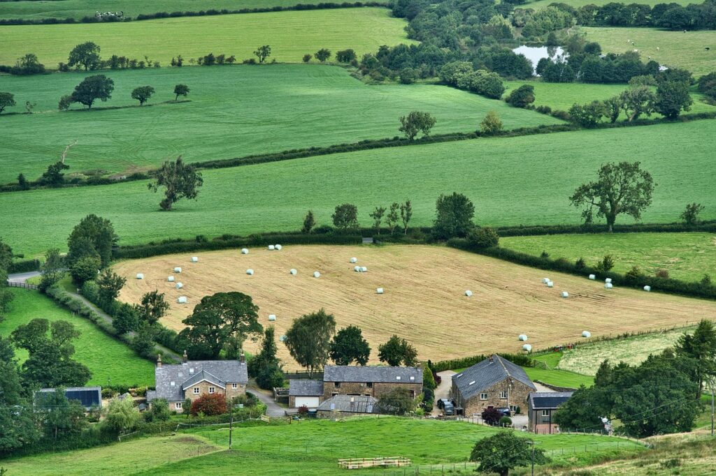 Rural housing care tips, however suppliers should adapt to satisfy the rising demand