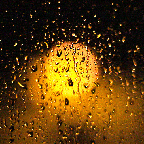 Silent Psychological Well being Disaster of Local weather Change