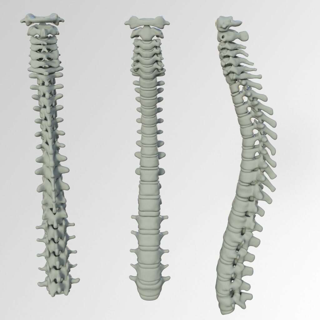 Knowledgeable planners: The hidden spine of profitable dwelling well being businesses