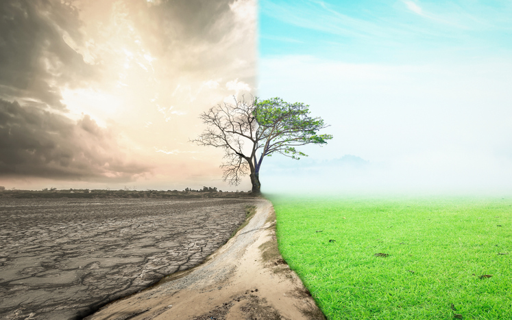 What hospitals have realized about change administration in digital well being What hospitals have realized about change administration in digital well being