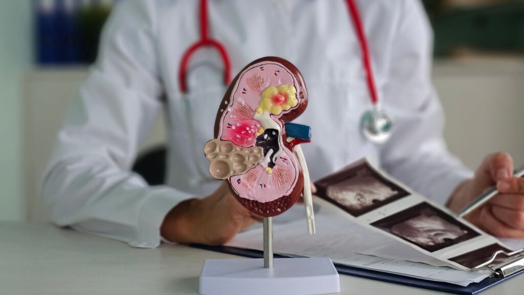 Diaverum Malaysia acquires Imu Dialysis Clinic