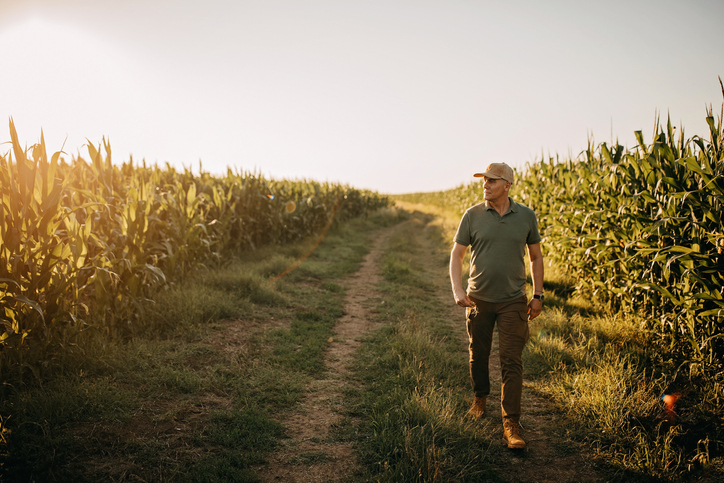 How dangerous would medicaid reduce the entry to well being care within the countryside of America?