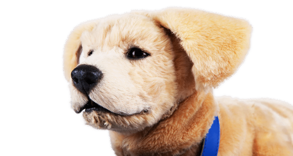 Tombot secures $ 6.1 million to deliver lifelike robotic pet to seniors with dementia – Tombot secures $ 6.1 million to deliver lifelike robotic pet to seniors with dementia –