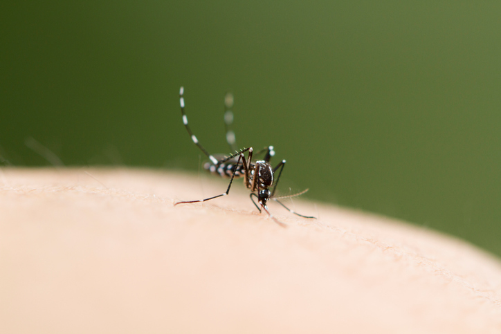 Novartis -Medicijn turns into first malaria remedy for newborns and infants Novartis -Medicijn turns into first malaria remedy for newborns and infants