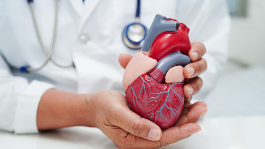 Terumo concludes the American distribution settlement with caregiver Medical