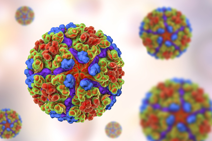 FDA suspends Valneva Vaccine's license after new stories of unintended effects FDA suspends Valneva Vaccine's license after new stories of unintended effects