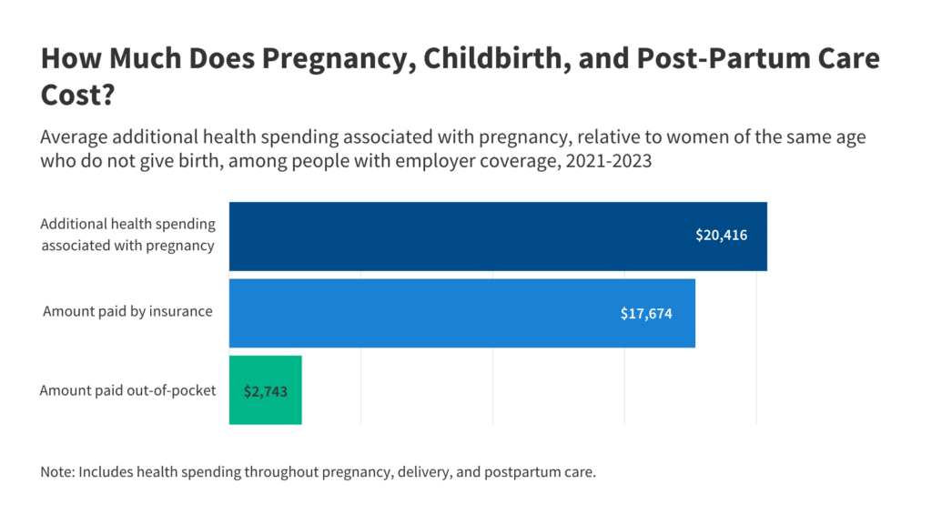 Well being prices associated to being pregnant, supply and childcare Well being prices associated to being pregnant, supply and childcare