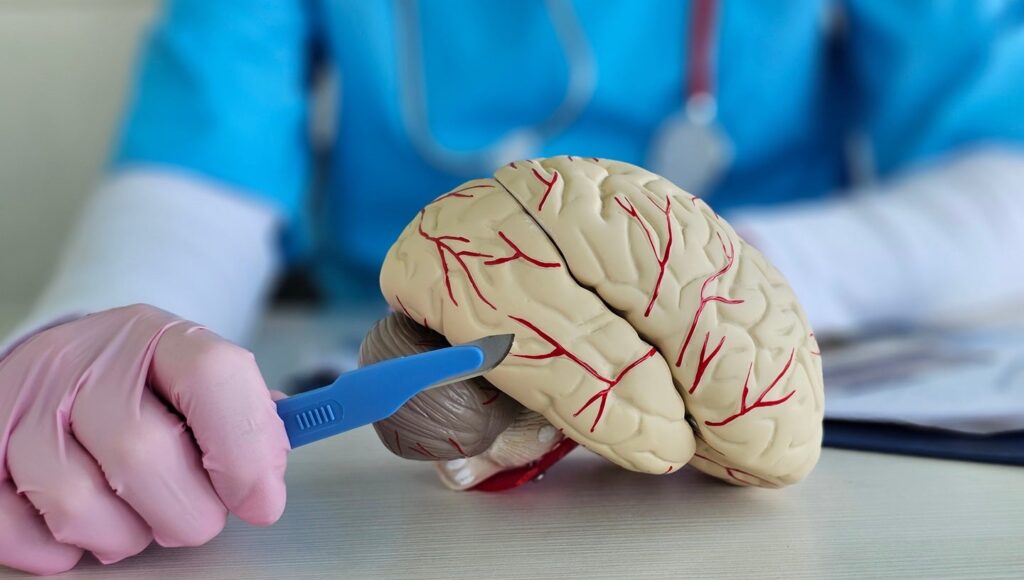 RevBio receives FDA approval for trial of cranial bone glue RevBio receives FDA approval for trial of cranial bone glue