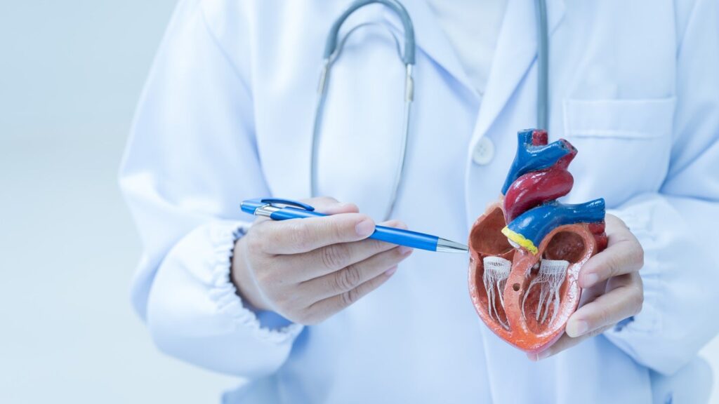 Affinia receives FDA approval for Part I/II examine in dilated cardiomyopathy