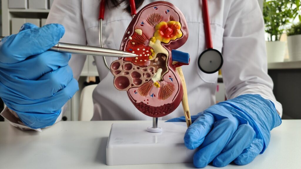 Novartis reviews closing information from the ALIGN research in IgAN Novartis reviews closing information from the ALIGN research in IgAN