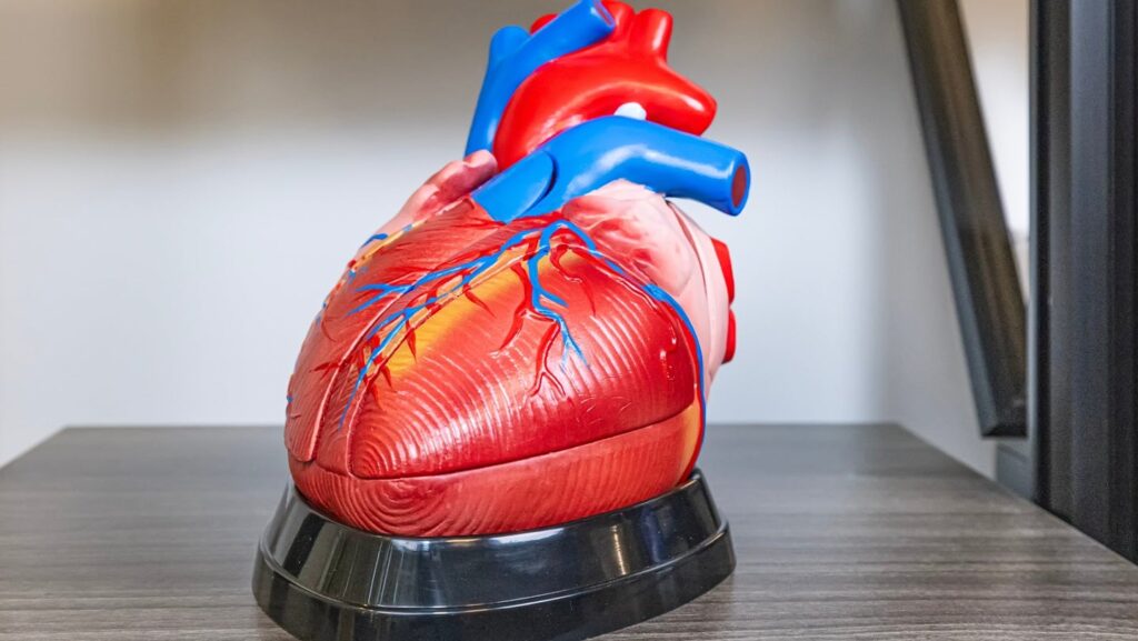 Abbott stories constructive VERITAS trial outcomes for AFib