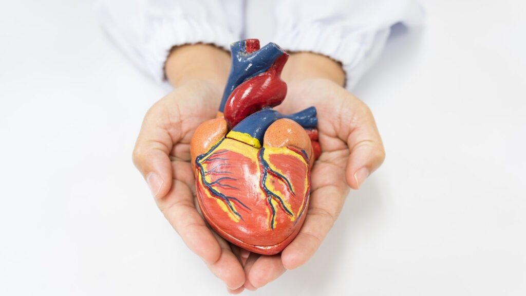TransMedics receives IDE approval from the FDA for the OCS Coronary heart trial