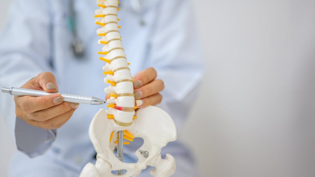 FDA grants PMA to Synergy’s cervical disc FDA grants PMA to Synergy’s cervical disc