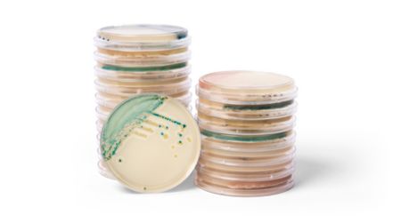 Thermo Fisher Scientific Launches New Shade-Primarily based Tradition Media to Assist Detect Candida Infections Quicker – The Journal of Healthcare Contracting