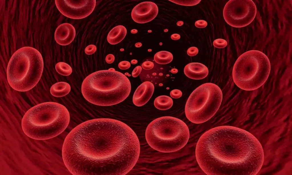 Desidustat improves anemia after kidney transplant with handy oral possibility, research suggests