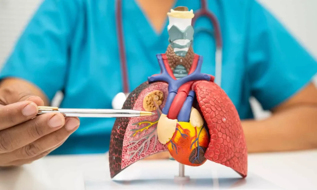 Ought to there be an age restrict for lung transplants?