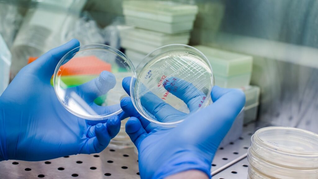 uBriGene and Cellinfinity BIO be a part of forces to speed up in vivo CAR-T therapies